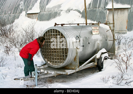 Frau inspiziert Eisbär, das "Gefängnis" Bären festgehalten, die kommen zu nah an Stadt in Churchill, Manitoba Stockfoto