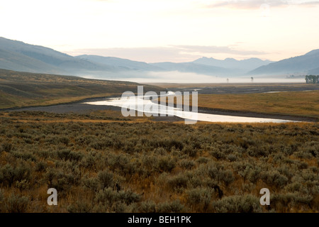 Nebel deckt die Gardner River bei Sonnenaufgang im Yellowstone-Nationalpark, Wyoming Stockfoto