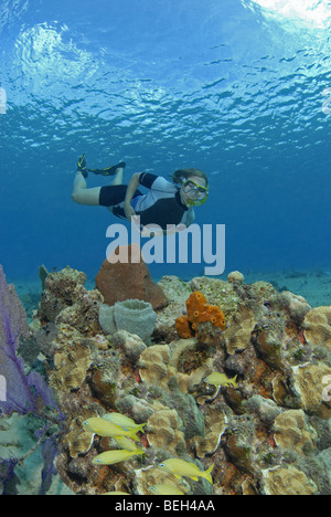 Touristischen Schnorcheln über Korallenriff, Cozumel, Karibik, Mexiko Stockfoto