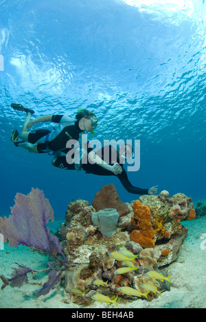 Touristen, die Schnorcheln über Korallenriff, Cozumel, Karibik, Mexiko Stockfoto
