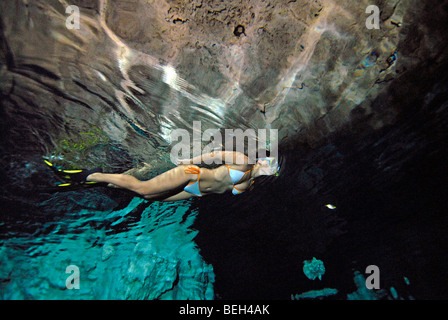 Freitauchen in Grand Cenote von Tulum, Halbinsel Yucatan, Mexiko Stockfoto