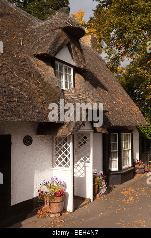 England, Cambridgeshire, Huntingdon, Brampton Hecke Ferienhaus idyllisch am Straßenrand Reetdach Dorfhaus Stockfoto