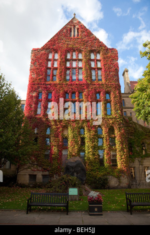 Weinreben im Herbst auf Beyer Gebäude im alten Viereck, The University of Manchester, UK Stockfoto