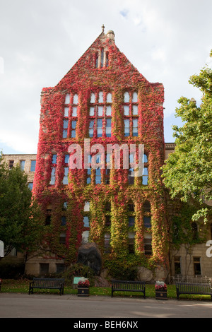 Weinreben im Herbst auf Beyer Gebäude im alten Viereck, The University of Manchester, UK Stockfoto