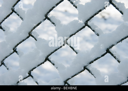 Schnee auf einem Drahtzaun auf aufgebaut Stockfoto