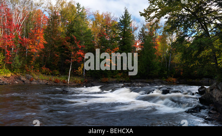 Habichtsbitterkraut Fluss. Schöne Panorama Herbst Natur Landschaft. Algonquin, Muskoka, Ontario, Kanada. Stockfoto