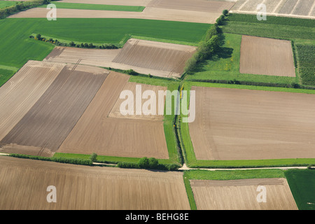 Luftaufnahme über landwirtschaftliche Landschaft mit Feldern, Wiesen und Hecken, Belgien Stockfoto
