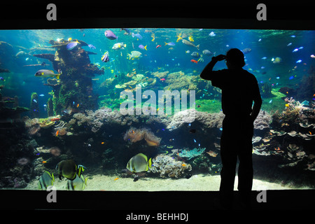 Touristen auf der Suche auf das Nausicaä Sea Aquarium mit tropischen Fischen, Boulogne-sur-Mer, Pas-de-Calais, Frankreich Stockfoto