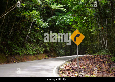Schild am Straßenrand, El Yunque Regenwald, Puerto Rico Stockfoto