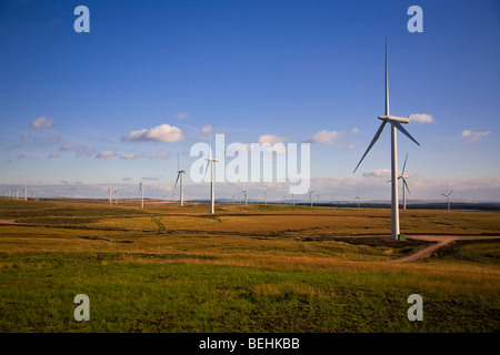 Whitelee Windpark auf einen knackigen Sommerabend. Stockfoto