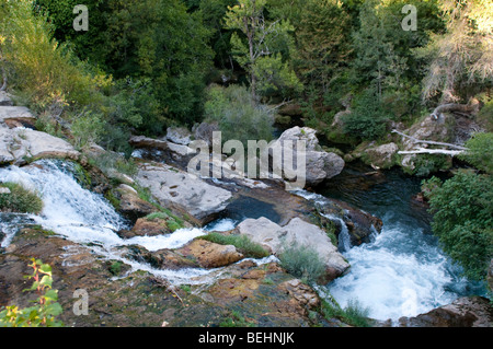 Fluss-Vis an Cirque de Navacelles, Frankreich Stockfoto