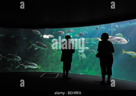 Touristen auf der Suche auf das Nausicaä Sea Aquarium mit tropischen Fischen, Boulogne-sur-Mer, Pas-de-Calais, Frankreich Stockfoto