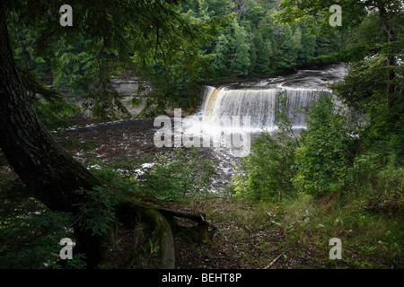 Die Lower Falls im Tahquamenon State Park in Michigan Upper Peninsula in den USA USA von oben niemand ein Wasserfall im Wald ist hoch auflösend Stockfoto