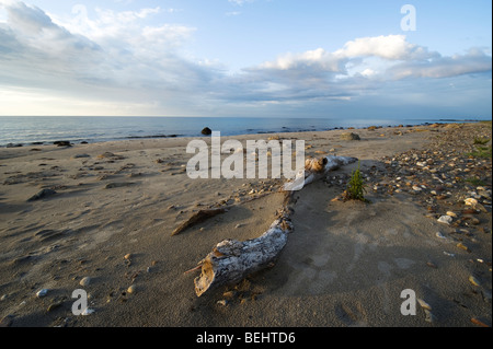 Küste von Dänemark, laso Stockfoto