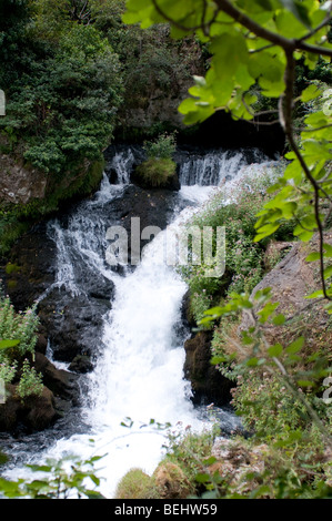 Surce De La Foux, -Quelle der Fluss Foux, Cirque de Navacelles, Frankreich Stockfoto