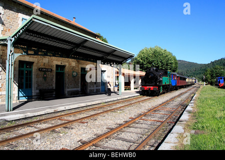 Dampfzug der Cevennen, Linie Anduze bis St. Jean Du Gard, Languedoc Roussillon, Frankreich Stockfoto