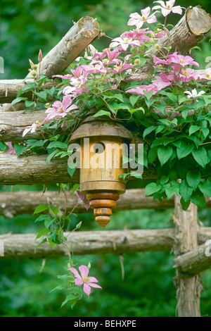 Handgemachte Drehbank gedreht Birdbox an Garten Laube unter blühen rosa Clematis Rebe im Sommer, Midwest USA Stockfoto