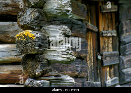 Alten verwitterten hölzernen Almhütte / log Cabin in den europäischen Alpen Stockfoto