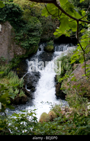 Surce De La Foux, -Quelle der Fluss Foux, Cirque de Navacelles, Frankreich Stockfoto