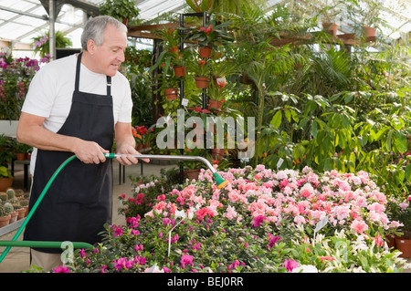 Mann, die Bewässerung von Pflanzen in einem Garten-center Stockfoto