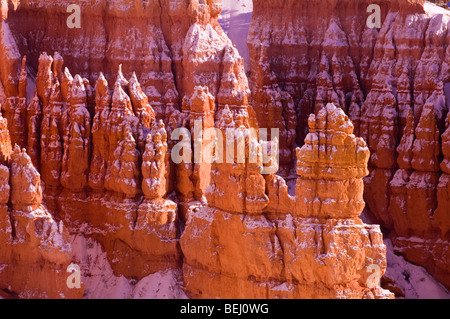 Neuschnee auf Hoodoos in die Stille Stadt, Bryce-Canyon-Nationalpark, Utah Stockfoto