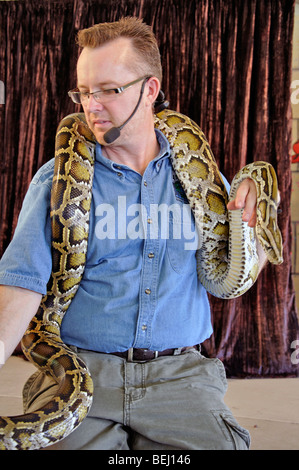 Mann mit burmesischen python Stockfoto