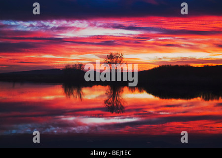 Sonnenuntergang über Feuchtgebiete, Bosque del Apache National Wildlife Refuge, Socorro, New Mexico, USA Stockfoto