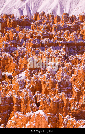 Neuschnee auf Felsformationen in die Stille Stadt, Bryce-Canyon-Nationalpark, Utah Stockfoto