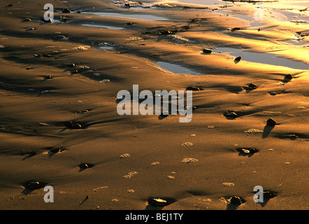Kräuselt sich Sand Stockfoto