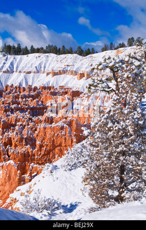 Neuschnee auf Felsformationen in die Stille Stadt, Bryce-Canyon-Nationalpark, Utah Stockfoto