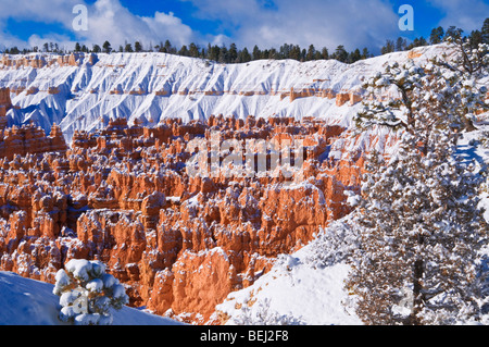 Neuschnee auf Felsformationen in die Stille Stadt, Bryce-Canyon-Nationalpark, Utah Stockfoto