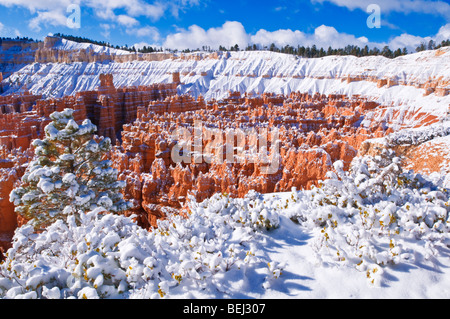 Neuschnee auf Felsformationen in die Stille Stadt, Bryce-Canyon-Nationalpark, Utah Stockfoto