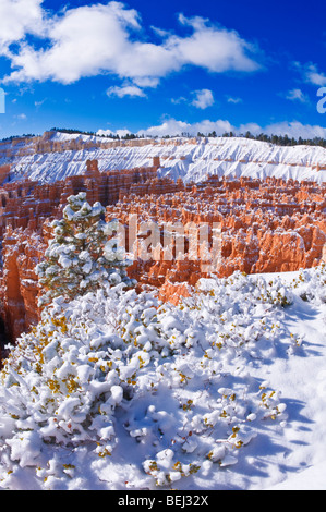 Neuschnee auf Felsformationen in die Stille Stadt, Bryce-Canyon-Nationalpark, Utah Stockfoto