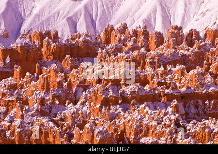 Neuschnee auf Felsformationen in die Stille Stadt, Bryce-Canyon-Nationalpark, Utah Stockfoto