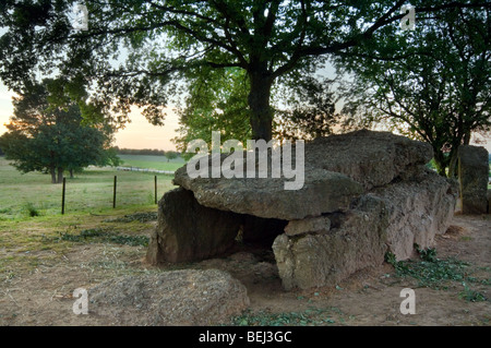 Megalith Grand Dolmen de Wéris gemacht Konglomerat Gestein, Ardennen, Luxemburg, Belgien Stockfoto