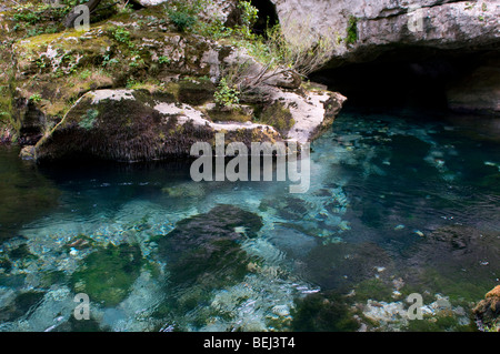 Surce De La Foux, -Quelle der Fluss Foux, Cirque de Navacelles, Frankreich Stockfoto