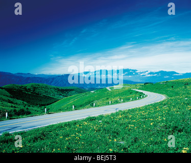 Kurvenreiche Landstraße, Nagano, Japan Stockfoto