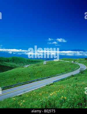 Landstraße in der Kirigamine Plateau, Präfektur Nagano, Japan Stockfoto