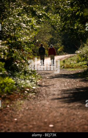 Ein Mann und eine Frau, die zu Fuß auf einem Pfad in Thorndon Park in der Grafschaft Essex. Foto von Gordon Scammell Stockfoto