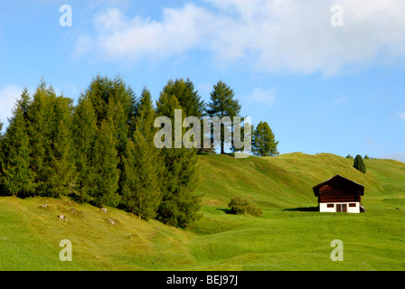 Alphütte, in der Nähe von Juac Schutzhütte, Naturpark Puez Odle, Grödner Tal, Alto Adige, Italien Stockfoto
