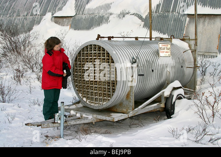 Frau inspiziert Eisbär, das "Gefängnis" Bären festgehalten, die kommen zu nah an Stadt in Churchill, Manitoba Stockfoto