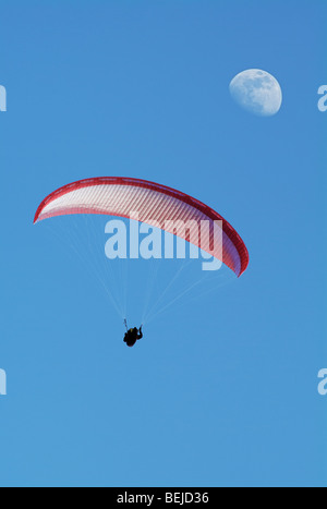 Gleitschirm in der Luft, niedrigen Winkel. Stockfoto