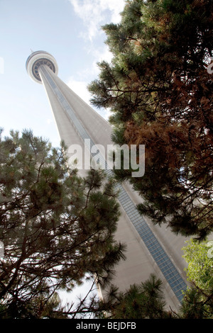 CN Tower in Toronto Stockfoto