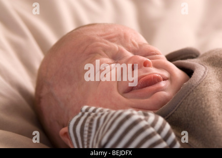 Babyjungen Weinen, 11 Wochen alt Stockfoto