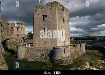 Raglan Castle Südwales Gwent Monmouthshire Stockfoto