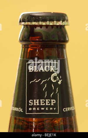 Schwarze Schafe Bierflasche gebraut in Masham in North Yorkshire England Stockfoto