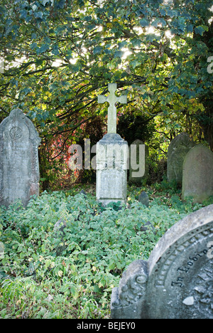 Kreuz auf einem Grabstein. Gegenlicht auf überwucherten Friedhof. Stockfoto