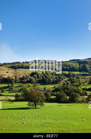 Die hügelige Landschaft in den Yorkshire Dales, England, UK im Herbst Stockfoto