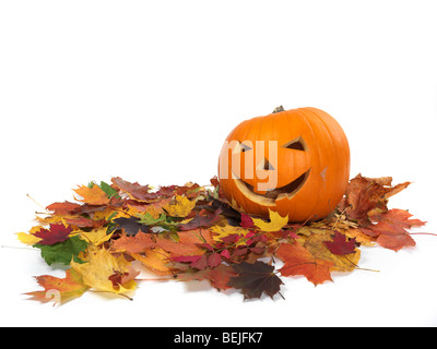 Geschnitzte lächelnd Kürbis auf bunten Herbst Blätter Stockfoto