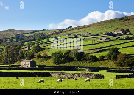 Yorkshire Dales Landschaft de Landschaft, Swaledale, North Yorkshire, England, Großbritannien Stockfoto